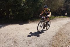 MTB7