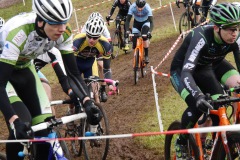 HM Cross