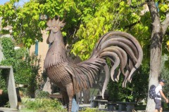 IMG_1961