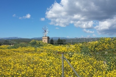 20170402_144527